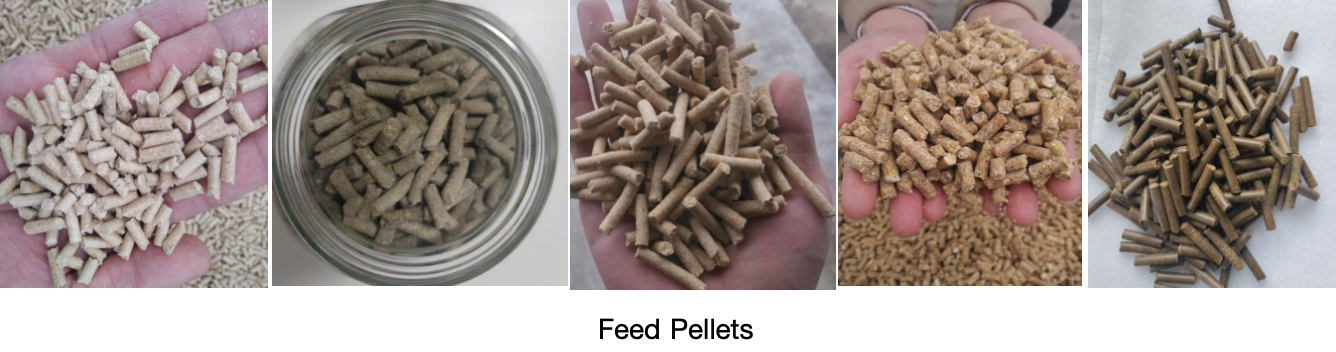 feed pellet cooler1 feed pellet cooler1