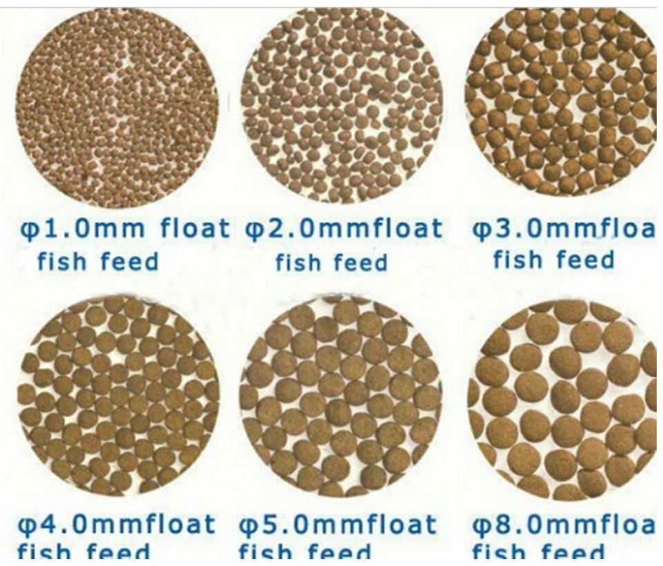 floating fish feed machine (3)