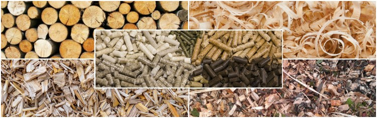 wood sawdust1.png