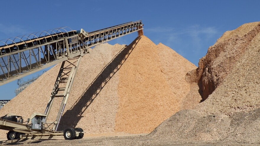 wood sawdust4