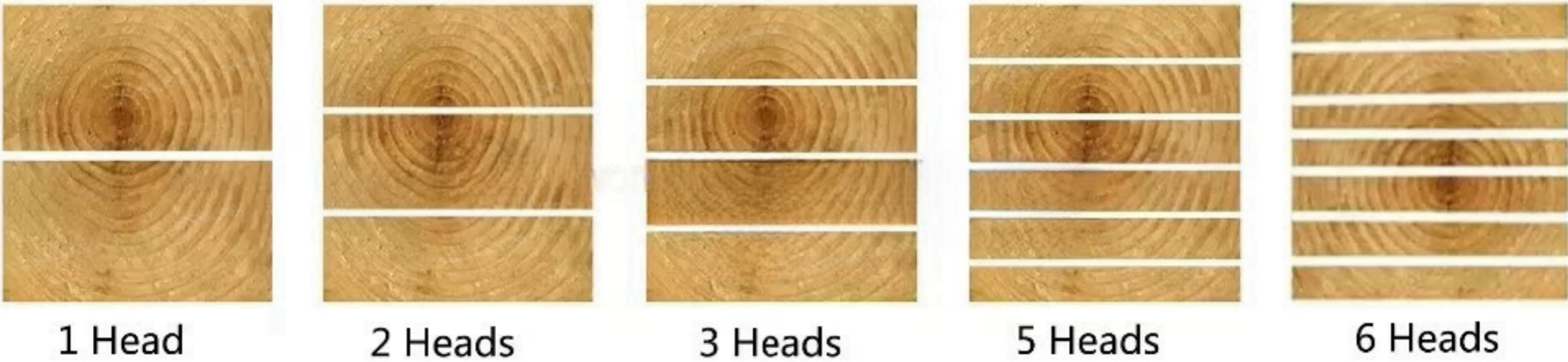 Multi-head saw5