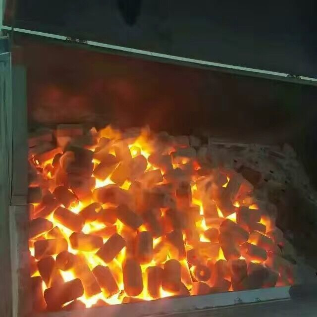 BBQ (2)